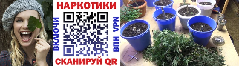 Хочу наркоту Далматово Амфетамин  A PVP  Меф  Каннабис  COCAIN  Гашиш 