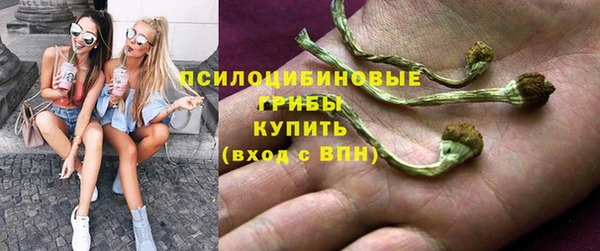 ALPHA PVP Медвежьегорск