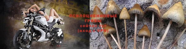 соль курить ск Медногорск