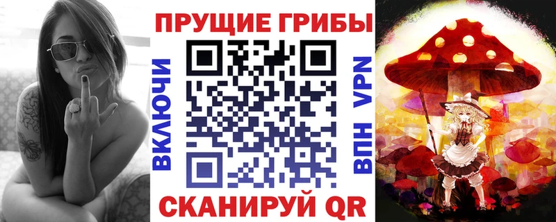 купить наркотики цена Далматово Галлюциногенные грибы Psilocybe